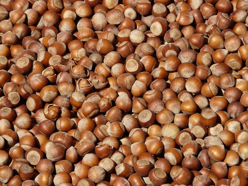 Trail Mix